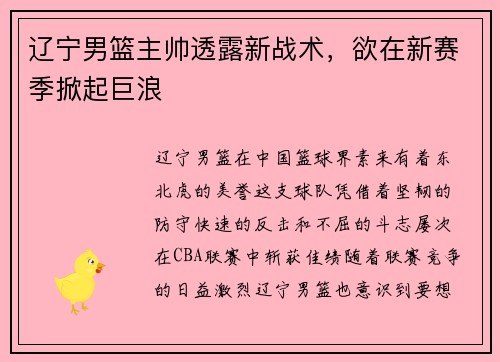 辽宁男篮主帅透露新战术，欲在新赛季掀起巨浪